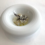 L'ORANGERIE - カリフラワー・ヤリイカ