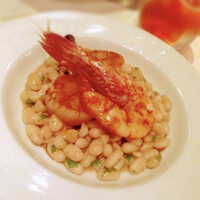 Benoit Alain Ducasse - 