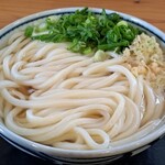 こだわり八輻 - かけうどん(大 3玉)