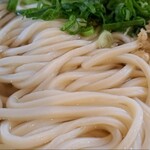 こだわり八輻 - かけうどん(大 3玉)