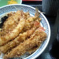 てんぷら天松 日本橋店 - 天丼