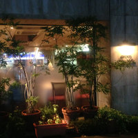 キノシタ - 