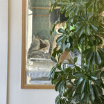 手打麺祭 かめ囲 - 