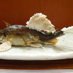 こづち - 【H25.6.12】天然鮎塩焼き。