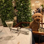 Le Chien Kyu Karuizawa - Sparkling U^ェ^U