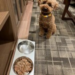 Le Chien Kyu Karuizawa - U^ェ^U Dinner