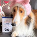 HARRODS - ワンコと一緒に♥