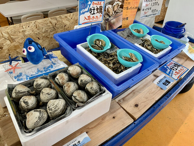 とまこまい海の駅 ほっき館 - 苫小牧（その他）の写真