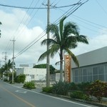 オーストリッチ - 