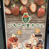 いちごの里 JR宇都宮駅店