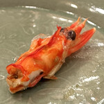 木挽町 とも樹 - 