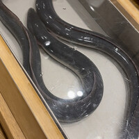 三宅輝 - 