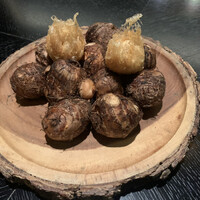 VELROSIER - 