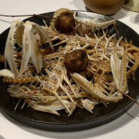 macua - 