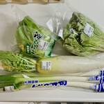 JA富里産直センター - 料理写真:長ネギ、大根、サラダ菜、サニーレタスの4点を購入。570円とブライスも素晴らしい