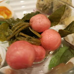 レンゲ - 25年6月　タパス　二十日大根のピクルス