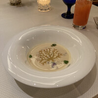 スプレンディード - 