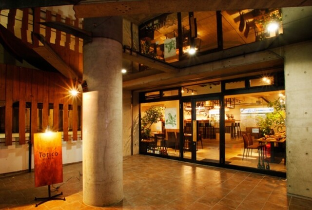Torico photo 4