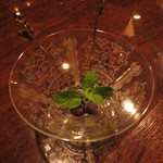 バースカーレット - 国産の生カシス使用。カシスもそのままでいただいてみました。秋田産の無農薬