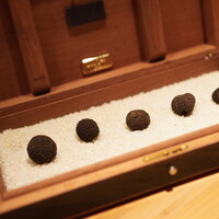 クッチーナ - ヴィトンの箱に入って登場