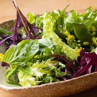 鎌倉野菜のサラダ