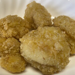 おふくろ亭 - 2023/01/24
      白ホル定食 ニンニク 大飯 500円
      チキンカツ 100円