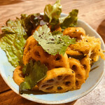 マロロガ バワン - 