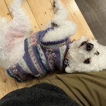 サッカバッカ - ＰＵＡちゃんが懐いてくれた？ｗ