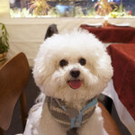 リストランテ ピッツェリア ジャンカルロ トウキョウ - Grazie!!