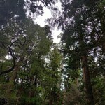 ゑびや大食堂 - 