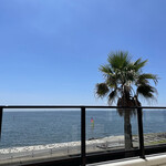 THE SURF OCEAN TERRACE - 