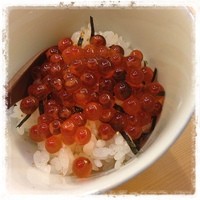 寿司 髙はし - 漬けいくら！