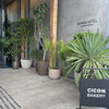 CICON BAKERY by NOHGA HOTEL