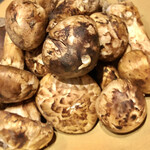 北海道焼肉 北うし - 