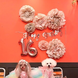 ペット同伴でお食事をお楽しみいただけます