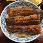 Unagi Sumiyaki Hitsumabushi Minokin - 