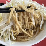 ラーメン もっけだの - 『ハーフラーメンニンニクヤサイマシマシ+ネギ』の麺