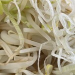 ラーメン もっけだの - 『ハーフラーメンニンニクヤサイマシマシ+ネギ』のヤサイ