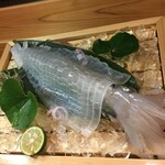 鯖とか烏賊とか真とか - 料理写真: