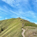 活魚料理 びんび家 - 