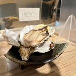 酒場 ジェントルマン 大和 - 大きな仙鳳址牡蠣