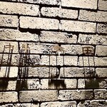 中華 本田 - 目を凝らすと読めます「中華　本田」