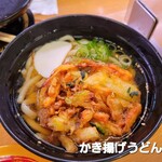 スシロー - 料理写真:かき揚げうどん