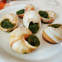 Benoit Alain Ducasse - エスカルゴ