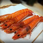 竹岡の天然車海老は漁師さんとの信頼の一品。ビッグサイズが揃います。美し～♡