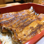 Unagi Hamana - 