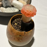 ラ・ヴァガボンド - 紅白の蕪、白海老、コルネ