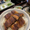 Unagi Tomita - 