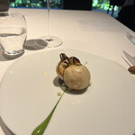 レフェルヴェソンス - 