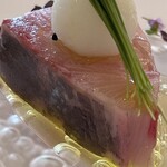 Shin Harada - 寒鰤